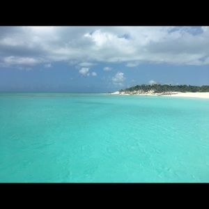 Meet your Posher, Whitney